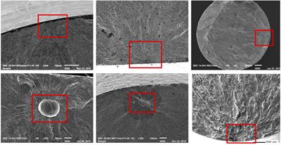 Transfer Learning-Based Algorithms for the Detection of Fatigue Crack Initiation Sites: A Comparative Study